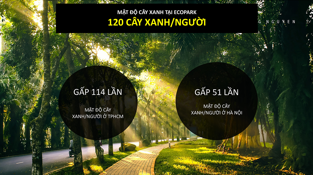 Cây xanh tại Ecopark