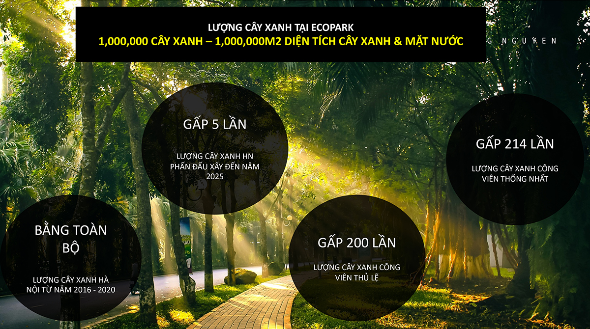 Cây xanh tại Ecopark