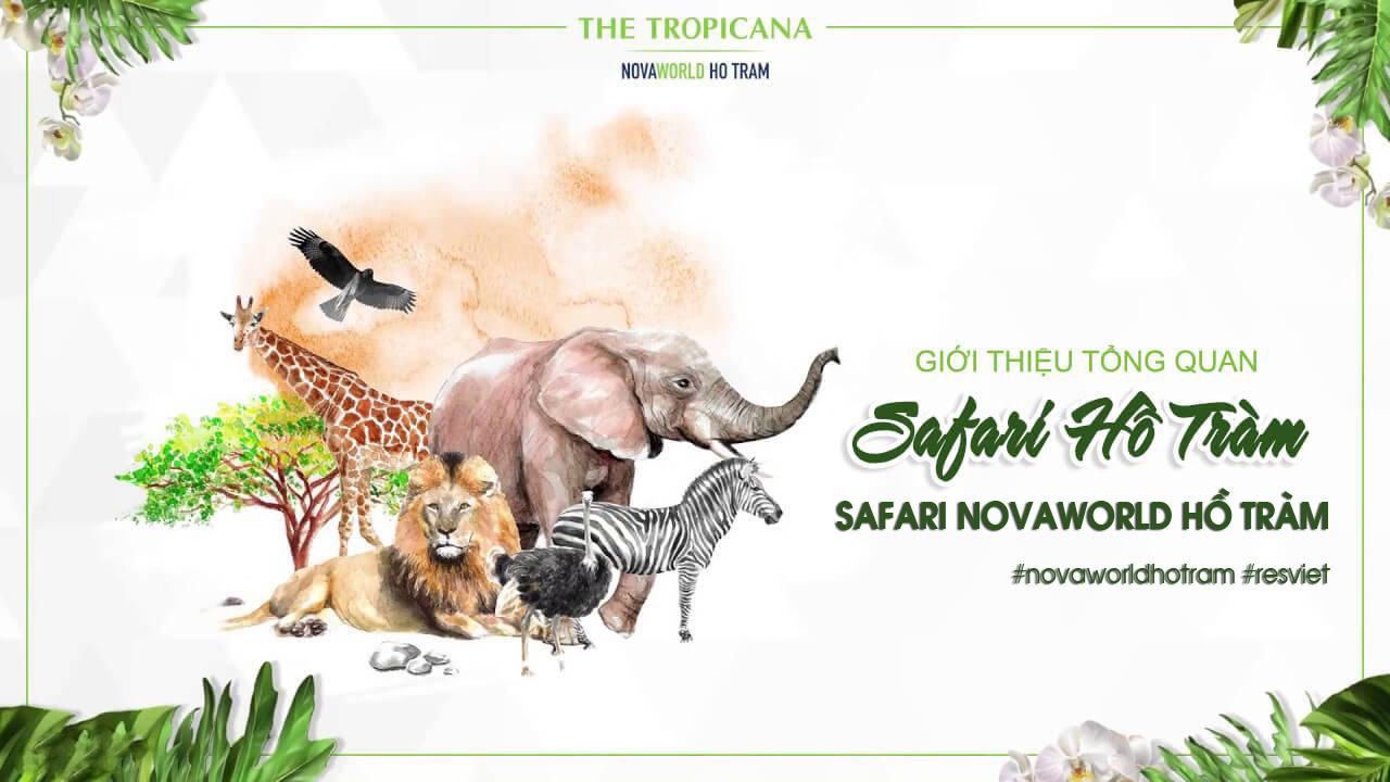 Công viên Safari Hồ Tràm tại Novaworld Ho Tram