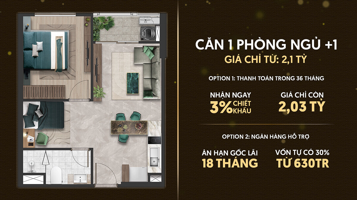 Căn hộ 1 phòng ngủ + dự án The Emerald 68