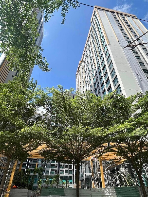 Tiến độ xây dựng dự án căn hộ chung cư De La Sol quận 4