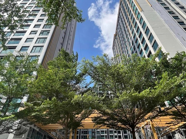 Tiến độ xây dựng dự án căn hộ chung cư De La Sol quận 4