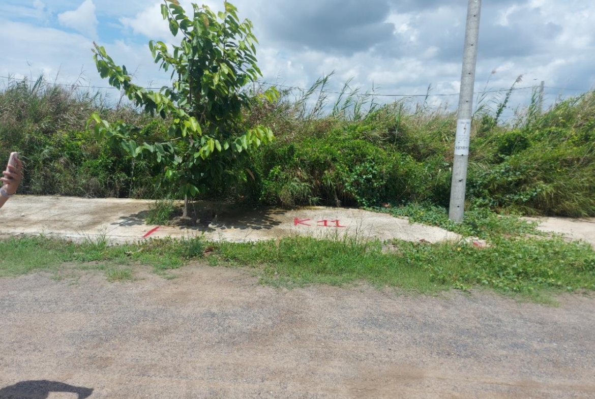 Bán đất Long An (1)