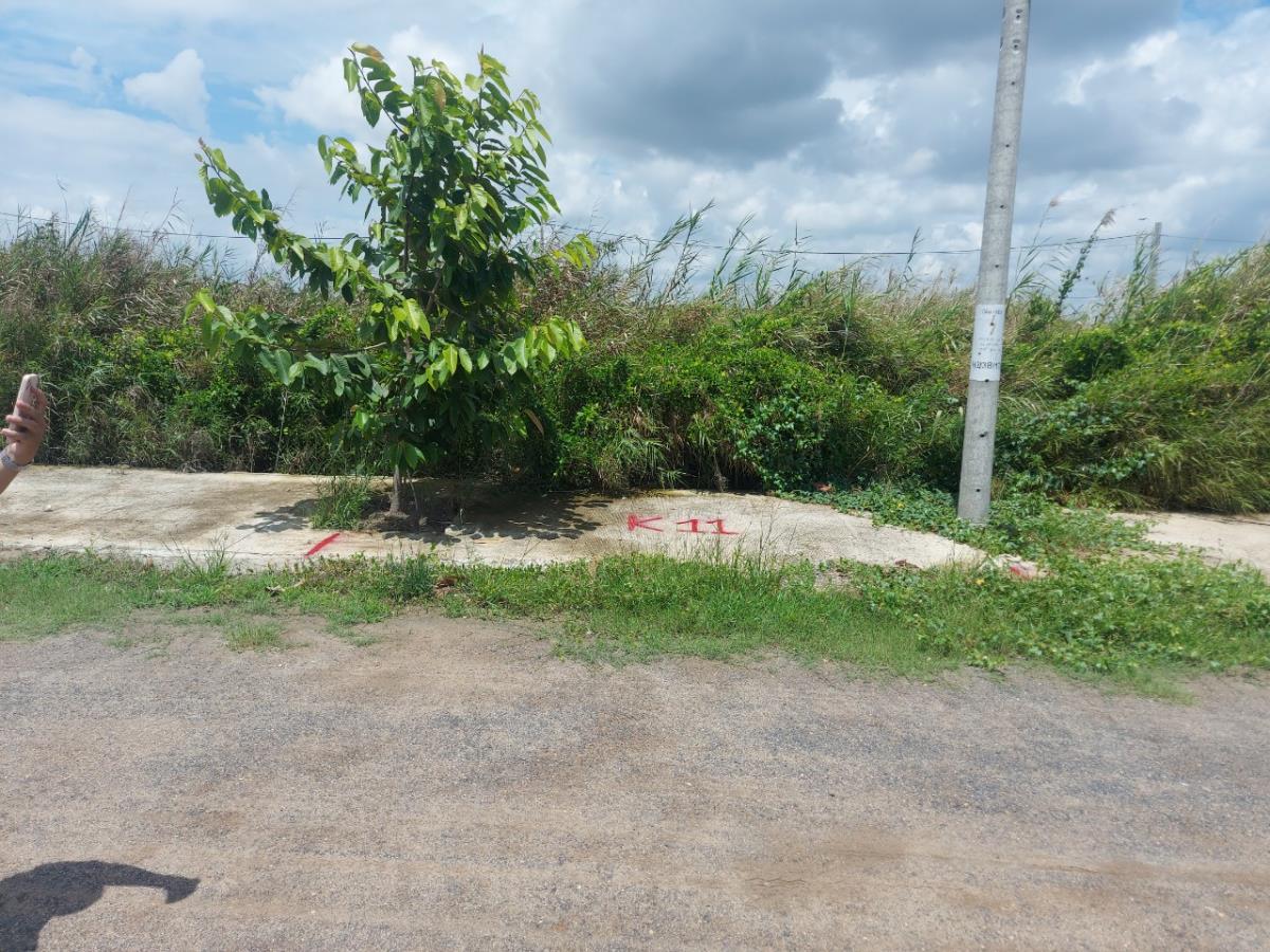 Bán đất Long An (1)