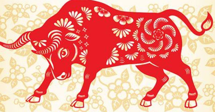 kham pha can ho chung cu hop phong thuy cho tuoi suu 39950 10