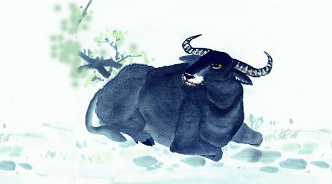 kham pha can ho chung cu hop phong thuy cho tuoi suu 39950 15