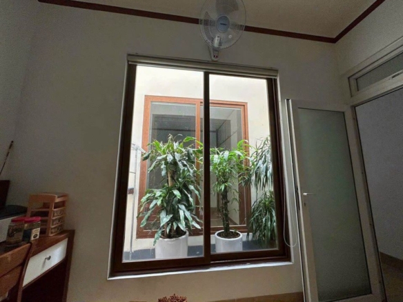 Lương Thế Vinh (1)