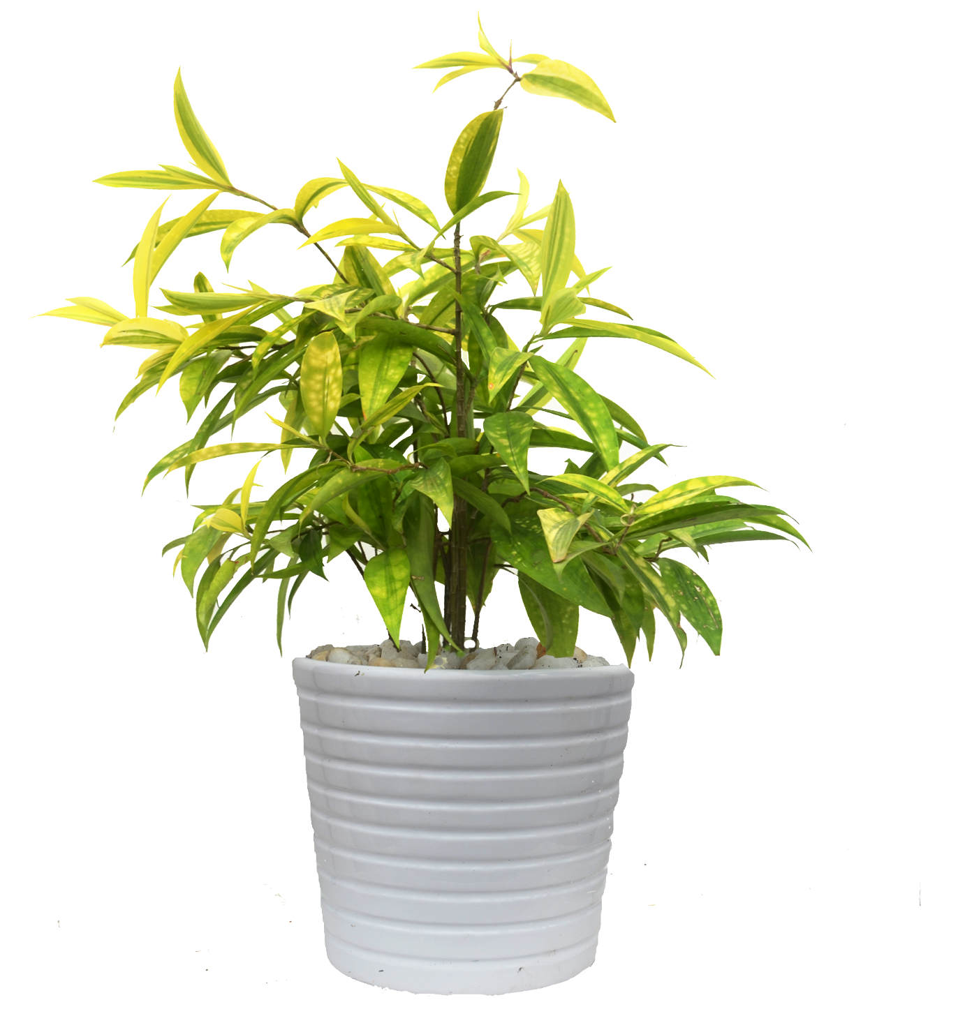 7eb14a726c446b7b2139dce508f837c8