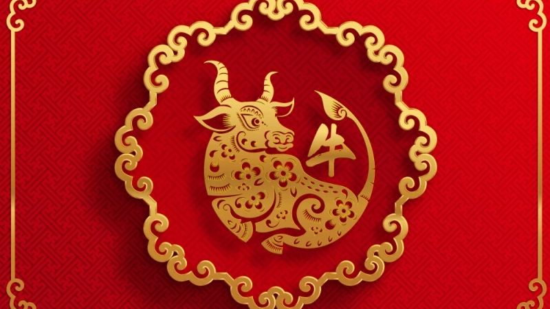 Tuổi 1985 Có Nên Làm Nhà Trong Năm 2024 Hay Không (2)