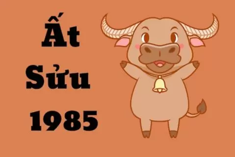 Tuổi 1985 Có Nên Làm Nhà Trong Năm 2024 Hay Không