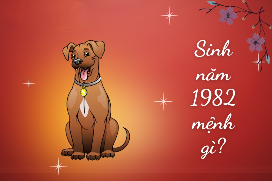 Năm 2024 Tuổi Nhâm Tuất Nên Xây Nhà Tháng Nào (1)