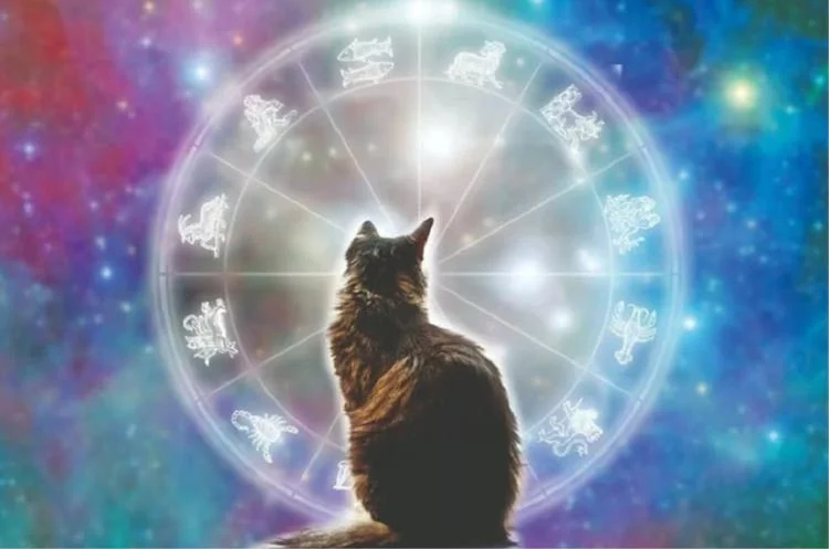 tuoi 1987 xay nha nam 2024 1