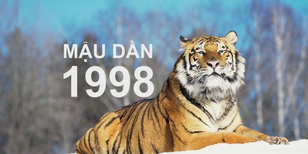 nguoi sinh nam 1998 nguoi sinh nam 1998