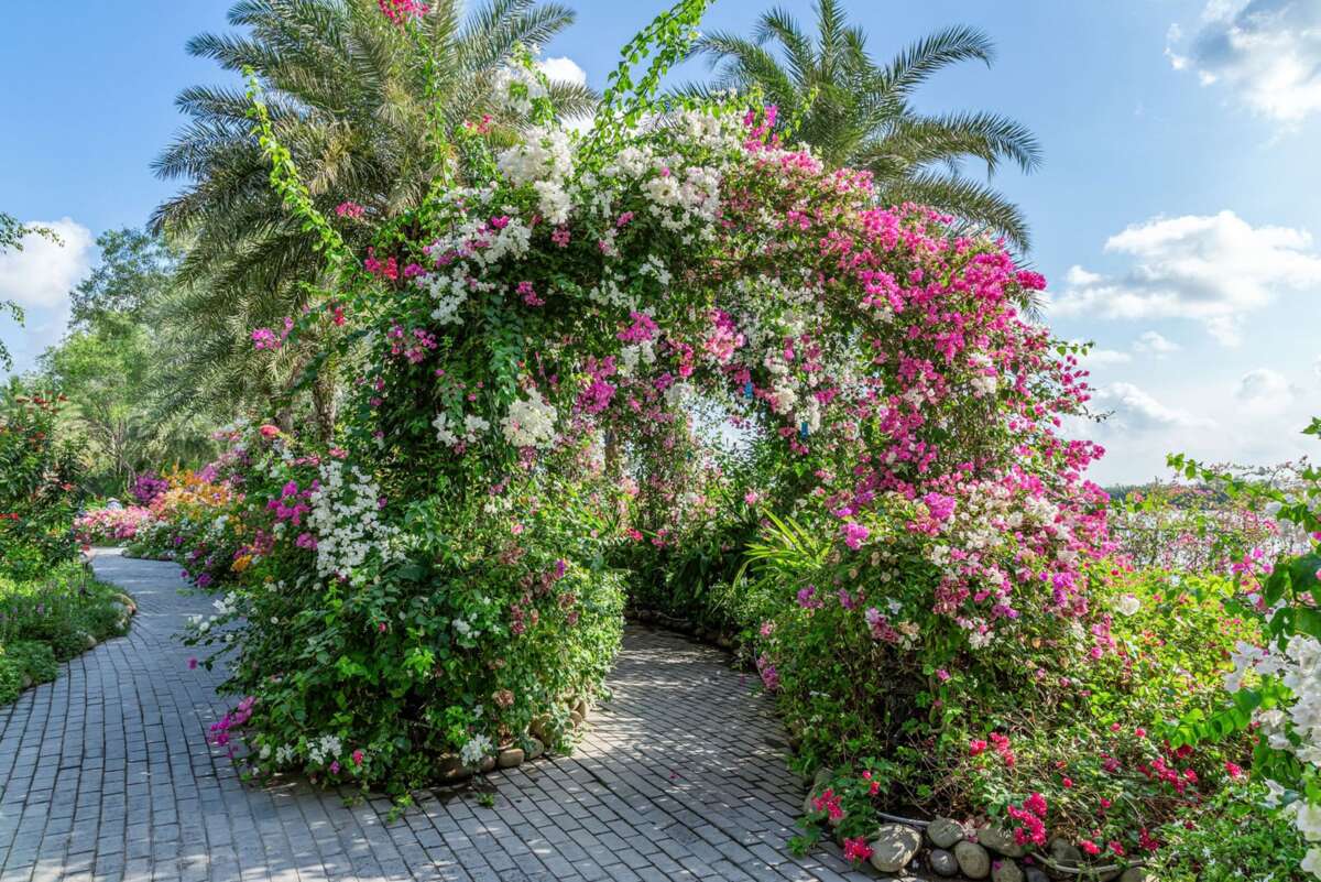 Tien do xay dung du an Eco Village Saigon River cap nhat thang 05 nam 2024 4 1200x801