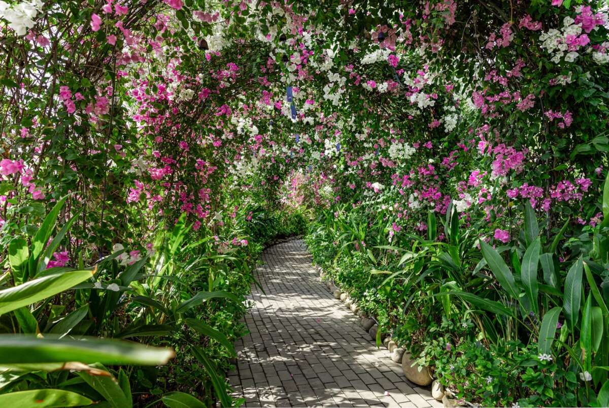 Tien do xay dung du an Eco Village Saigon River cap nhat thang 05 nam 2024 7 1200x803