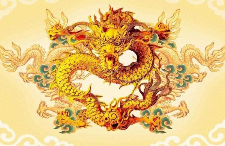 1988 hop huong nao 1