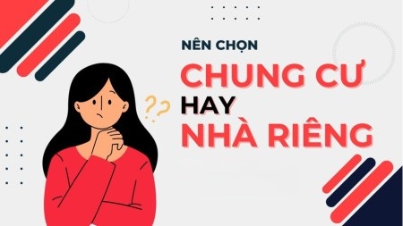 nen thue chung cu hay nha rieng 1736234661