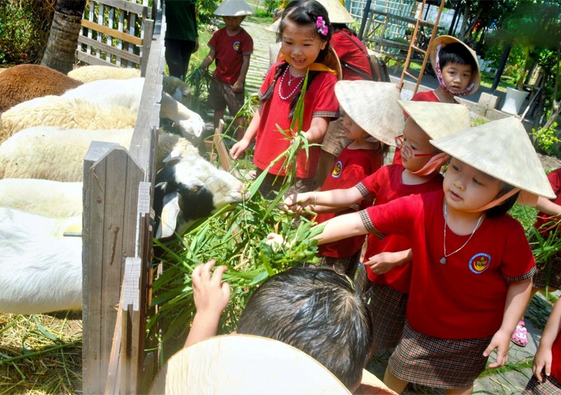 Khu vui chơi trẻ em Club Vivo City quận 7