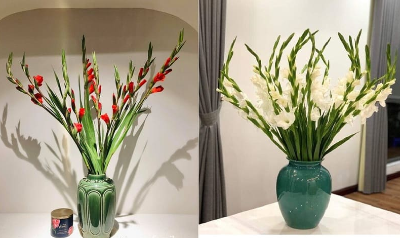 Lựa chọn hoa tươi vừa nở như hoa cúc, hoa hồng hoặc hoa lay ơn cho buổi lễ để thể hiện sự thịnh vượng