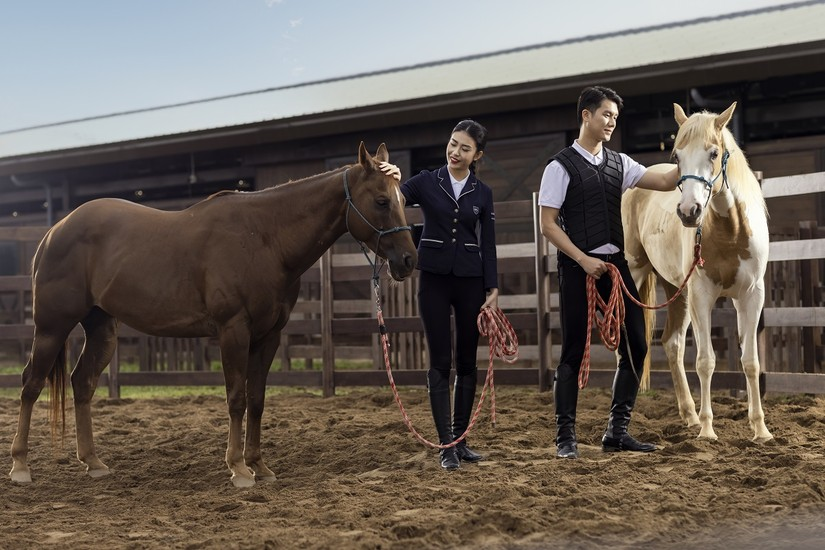  Vinhomes Royal Island